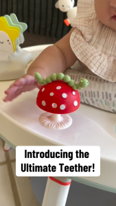 Razberry Chompy Mushroom Grip Teether ( razbaby baby infanr soother pacifier )