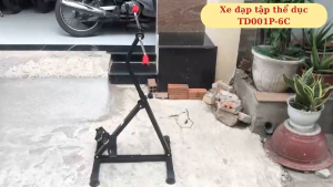 Xe đạp tập thể dục tay chân TD001P-6C