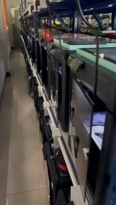 Mô Hình Tắc Kè In 3D Đồ Trang Trí Nhỏ Đồ Chơi Giấu Tìm Siêu Bí Mật Dành Cho Mọi Lứa Tuổi Quà Giáng Sinh Quà Cưới