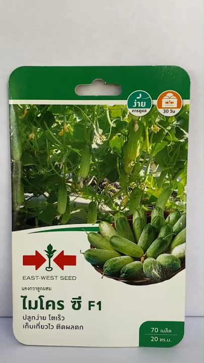 เมล็ดแตงกวา ศรแดง ไมโครซี โตเร็ว ติดผลดก