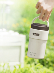 Bear | Portable Heatable Thermostat Travel Electric Kettle