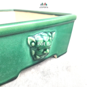 The Leaferie Bonsai Pot / Tray (Series 61)  Rectangular Rectangle Plant pot Ceramic Flowerpot Flower pots