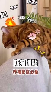 Sofa Sticker Anti Cat Scratch Anti Sofa Scratcher Sofa Corner Tape Cover Furniture Seat Protectors