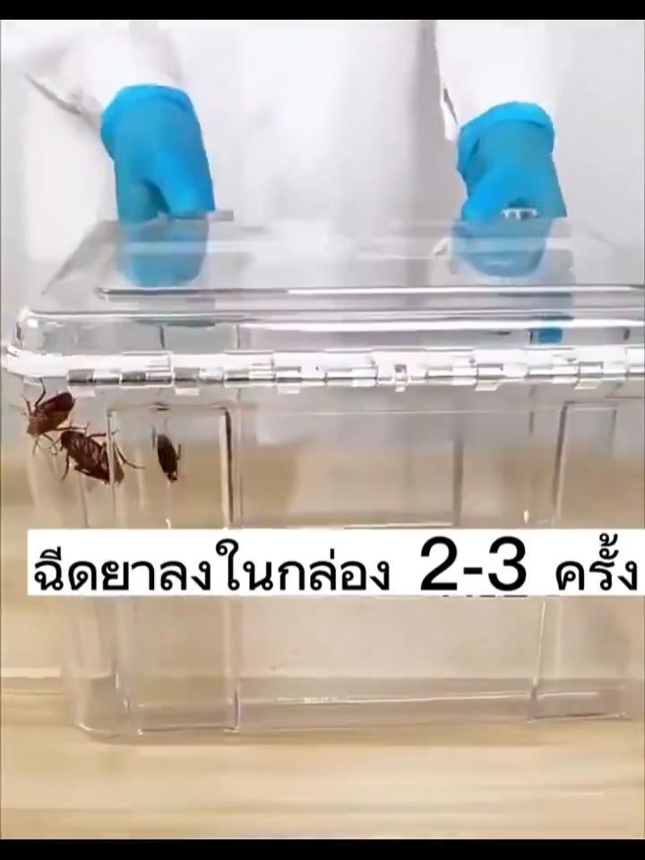 ใหม่! สเปรย์แมลงสาบ ไล่แมลงสาบ มด ยุง มด ยุง แมลงอื่นๆ ยาฆ่าแมลงสาบ สเปรย์ไล่แมลงสาบ ไร้สารตกค้าง ฆ่าแมลงสาบ