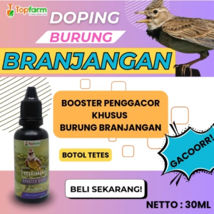 Vitamin Booster Burung Branjangan 30ML / Vitamin Burung Branjangan / Vitamin Penggacor Burung Branjangan / Vitamin Burung Branjangan / Booster Penggacor Burung Branjangan / Vitamin Penggacor Burung Branjangan / Vitamin Burung Branjangan Cepat Gacor