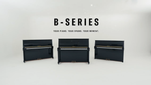 YAMAHA MUSIC ORIGINAL QUALITY B-SERIES B-30 PE UPRIGHT ACOUSTIC PIANO FOR THE BEGINNER ( U1-J PE )