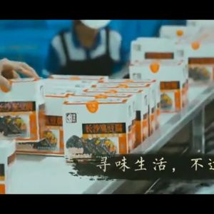 邬辣妈-长沙臭豆腐-香辣味/蒜蓉味 20克 WULAMA-Stinky Tofu-Spicy Flavor/Garlic Flavor 20G