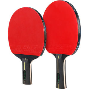 Double Fish | Dual-Sided Table Tennis Rackets for Beginners