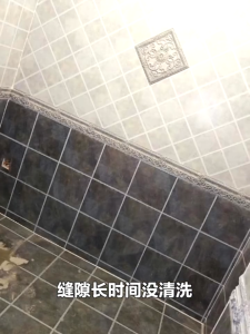 SG Stock Ceramic/marble wall and floor tile dirt crevices mildew removal cleaner 瓷砖黑缝清洁剂 瓷砖清洁剂 美缝剂 瓷砖缝隙地砖缝清洁剂500ml