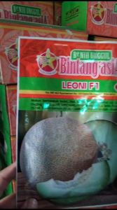Benih Bibit MELON LEONI F1 20gr Bibit Melon Daging Putih Tebal Bintang Asia Tahan Virus Gemini