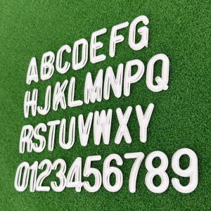 ( H10 ) NEW CURVE CRYSTAL NUMBER PLATE FONT / FON PLAT NOMBOR KRISTAL LENGKUNG ( 60mm X 35mmX 8mm ) FONT ONLY/FON SAHAJA