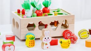 Kids Early Learning Educational Wooden Montessori Pull & Harvest Carrot Catch Worm Shape Sorter Toys Set