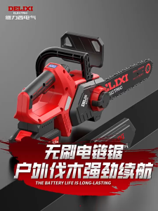 DELIXI 21V Cordless Chainsaw – 125mm 6.0Ah Power