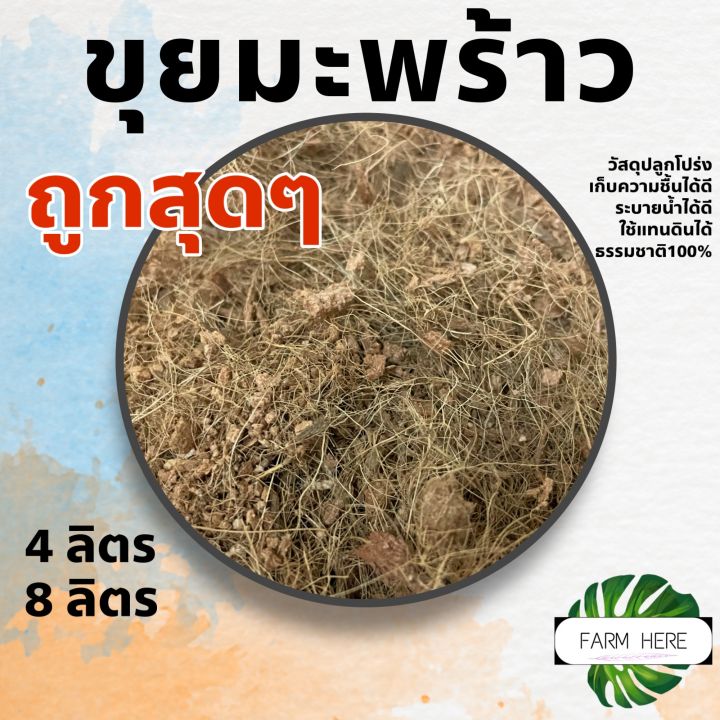 ขุยมะพร้าวเกรด A สำหรับเร่งการเติบโตของรากพืช