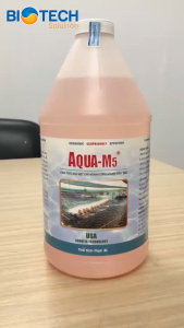 Aqua M5 Vi sinh xử lý khí NH3 trong ao nuôi trồng thủy sản hàng Mỹ combo 6 chai 2L