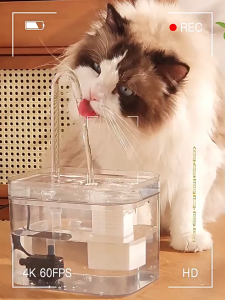 ⛲ 1.5L น้ำพุสัตว์เลี้ยง อัตโนมัติ น้ำพุแมวสัตว์เลี้ยงอัตโนมัติ เงียบมาก มาพร้อมตัวกรองน้ำ สะดวกสมาร์ทอัตโนมัติ น้ำพุแมว