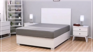 Zippered Bedbug Mattress Protector Waterproof Mattress Cover Premium Quality Hypoallergenic Bed Encasement