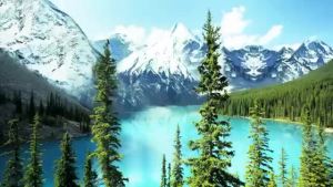 Thùng 24 Chai Nước ION Kiềm Đóng Chai I-On Life 450ml - Khỏe ruột Mát gan Hỗ trợ tiêu hoá Trung hoà axit dư thừa ổn định huyết áp bù khoáng