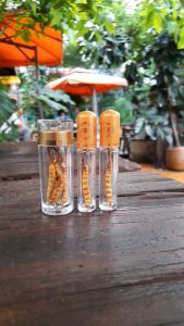 Mẫu 6 con Đông Trùng Hạ Thảo Tây Tạng cao cấp tự nhiên loại 500 con/100gr