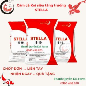 Cám cá koi thức ăn cá koi siêu tăng trưởng Stella size S1/S3/S5/S7 - Sản Phẩm Chất Lượng Cao Gói 1000g