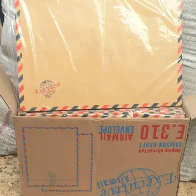 1 dus (50 lembar) amplop executive/JET tali 310 amplop coklat Air mail Lamaran Kerja