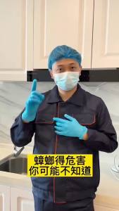 Deweidi Roach Killer Ant Powder Household Kitchen Restaurant Indoor Non-Toxic Factory Direct Delivery Wholesale