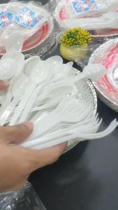 25PCS DISPOSABLE PAPER PLATE / DISPOSABLE PLASTIC SPOON AND FORK / PARTY SUPPLIES / TABLEWARE