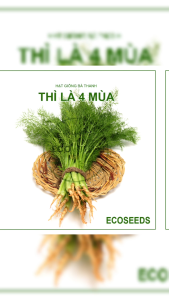 [EcoSeeds] Combo 2 Gói Hạt Giống Cây Thì Là 4 Mùa Nông Hưng Phú - Cao Sản Dễ Trồng - Gói 20g