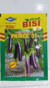 Benih Terong Ungu Panjang Hibrida PRINCE 07 Cap Kapal Terbang 10 Gram