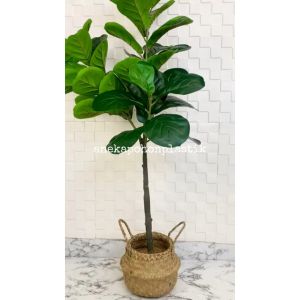 Dekorasi Studio Interior dengan Pohon Hiasan Daun Ketapang X3 T140 Latex Artificial Pot Dasar Cover Purun Belly Dekorasi Studio