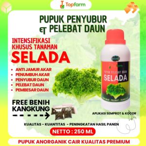 Pupuk Untuk Tanaman Selada / Pupuk Penyubur Daun Selada / Pupuk Daun Untuk Tanaman Selada / Pupuk Khusus Selada Hidroponik / Pupuk Alami Selada