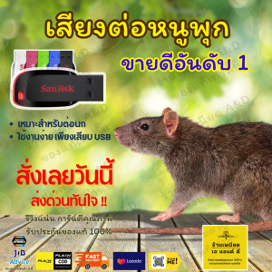 Flash Drive เสียงต่อหนูพุก – คมชัด 6 ชั่วโมง ไม่มีโฆษณา | ส่งด่วน Flash Express | เก็บเงินปลายทาง