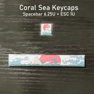 2 Pcs Esc + Space Bar Coral Sea Keycap OEM Height Pbt Cherry Sub - 6.25u Key For Diy Mechanical Keyboard