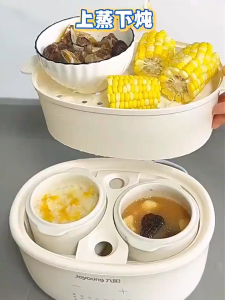 Joyoung 1L Ceramic Stew Pot & Slow Cooker for Bird’s Nest Nutritious Soup and Porridge