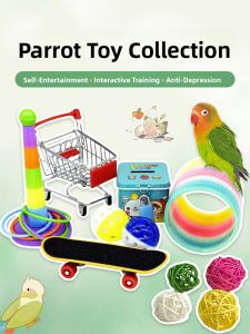 VOA | Parrot Toy Set for Chewing Entertainment and Stress Relief with Small Swing