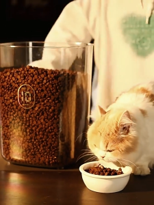 Automated Pet Food Airtight Storage Barrel Cat Food Dog Food Sealed Barrel Dry Storage Barrel Moisture-Proof And Dust-Proof Storage Barrel Smart AI
