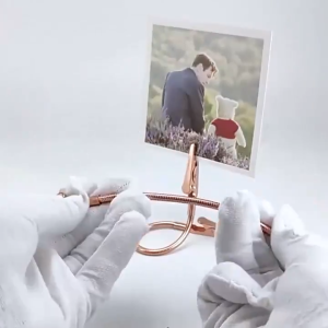 1PCS Double Head Alligator Clip & Long Hose Flexible Clip: A Versatile DIY Solution