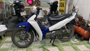 Bộ vỏ nhựa xe máy sirius hàng Việt Nam loại 1 màu Dương Trắng kiểu Zin