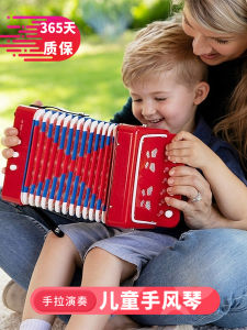 Introduction Kids Toy Accordion Beginner Musical Instrument Early Education Music Enlightenment Baby Gift Mini Free Tutorial
