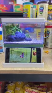 [HOÀN TIỀN 10%]Bể Cá Mini FISH TANK Để Bàn Làm Việc Đa Chức Năng Hồ Thủy Sinh M7