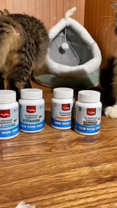 MrVet / Mr Vet VITAMIN Suplemen Nutrisi Hewan Anjing Kucing