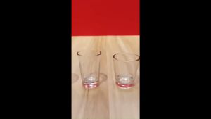 12pcs set Shot Glass High Quality Drinkware Smart Kitchen Ph