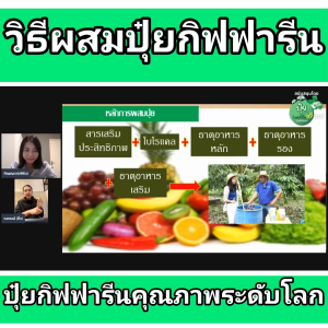 ปุ๋ย ปุ๋ยกิฟฟารีน ปุ๋ยทางใบ ฮอร์โมนทางใบ ปุ๋ยเกล็ด เร่งการเจริญเติบโต ธาตุเหล็ก ธาตุอาหารเสริม giffarine Fe12% EDTA เฟอร์รัส-เพาวเดอร์ ฉีดพ่นทางใบ ของแท้ ออกผลเร็ว ใช้ง่าย ฉีดพ่นได้กับผักสวนครัว