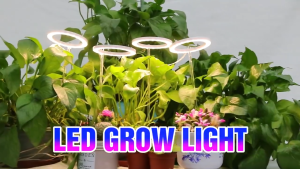 LED Plant Grow Light USB Grow Light with Control Plant Seedling Flower Home Ring Plant Supplementary light Dimmable Ligh