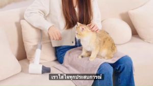 PETKIT Airsalon Max Smart Pet Dryer ตู้เป่าขนแมวอัตโนมัติ เชื่อมต่อapp เครื่องเป่าขนแมว เครื่องเป่าขนสัตว์เลี้ยง ไม่ปลอดภัย ชุดคลิกที่ 1