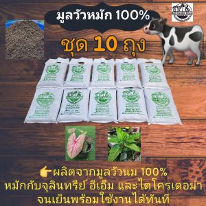 มูลวัวหมัก 100% สูตรพิเศษ ชุด 10 ถุง ขนาด 1 กิโลกรัม 👉ผลิตจากมูลวัวนมล้วนๆ 100% นำมาหมักกับจุลินทรีย์ อีเอ็ม และไตโครเดอม่า จนเย็นพร้อมใช้งานได้ทันที # ปุ๋ยหมัก # ปุ๋ยคอก # ปุ๋ยอินทรีย์ # ขี้วัวหมัก