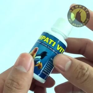 Sempati Vit Vitamin Burung Spontan Kicau Meningkatkan Suara Stamina Ocehan Panjang Murai Kacer Dll
