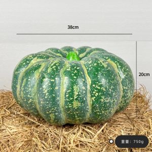 Artificial Rice Straw Dry Flower Decorative Arrangement for Homestay Coffee Shop Photography Prop Window Display Decoration