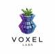 Voxel Labs