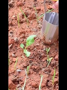 First อุปกรณ์ย้ายต้นกล้า  เครื่องหยอดเมล็ด เจาะดินแข็งได้ เครื่องมือขุดหลุมดินอัตโนมัติ Gardening Tools